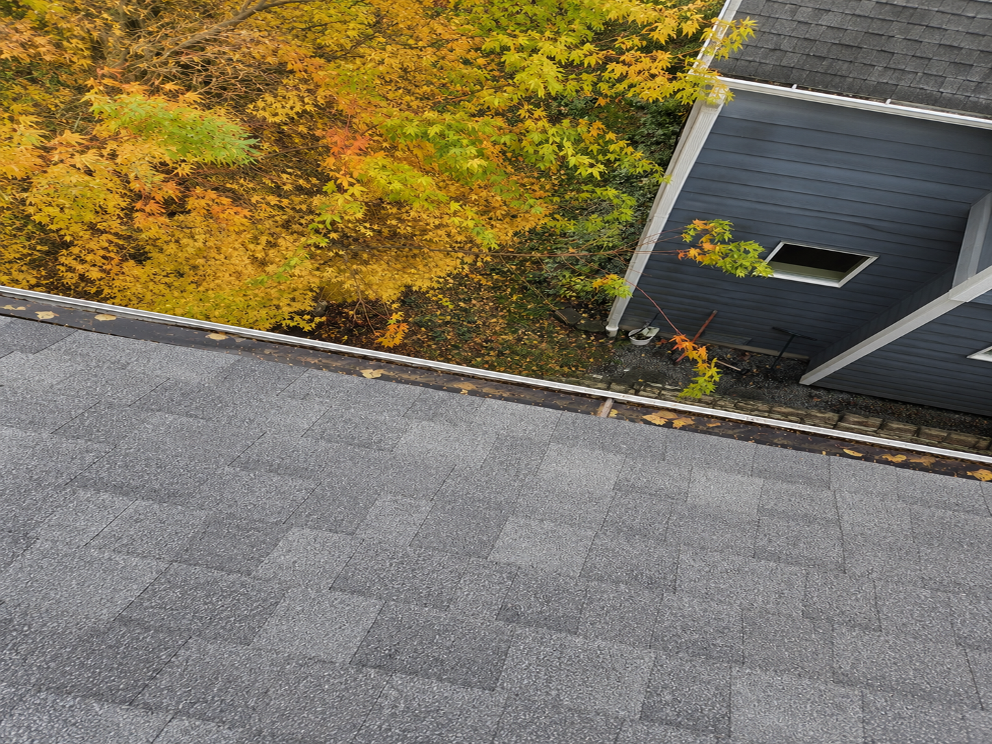 Before gutter cleaning